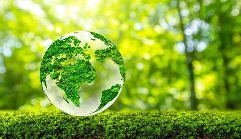 Concept Save the world save environment The world is in the grass of the gr.. Stock Photos
