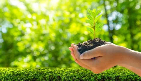 Concept Save the world save environment The world is in the grass of the gr.. Stock Photos