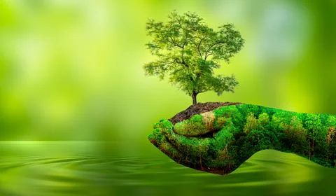 Concept Save the world save environment The world is in the grass of the gr.. Stock Photos