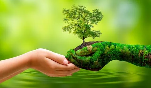 Concept Save the world save environment The world is in the grass of the gr.. Stock Photos