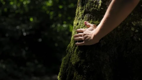 Concept of saving the planet, environment, surrounding nature. Female hand Stockbeeldmateriaal 218619218