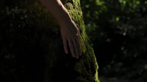 Concept of saving the planet, environment, surrounding nature. Female hand Stockbeeldmateriaal 219954958