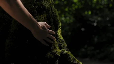 Concept of saving the planet, environment, surrounding nature. Female hand Stockbeeldmateriaal 219955003