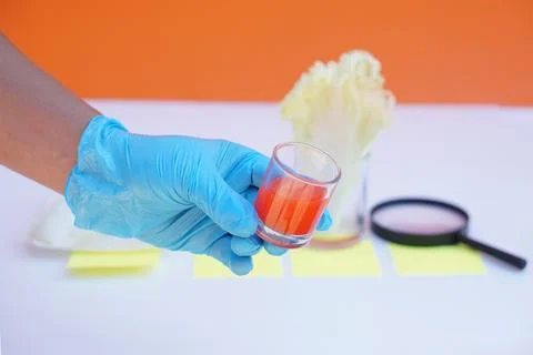Concept, science lesson activity. Easy experiment for learning. Stock Photos