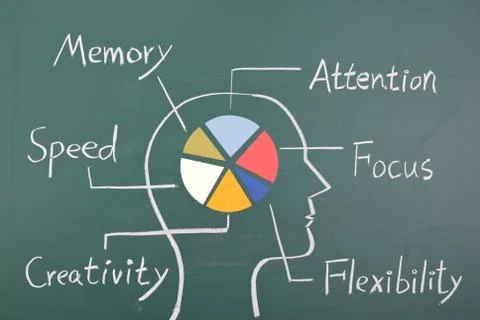 Concept of six ability in human brain 스톡 사진