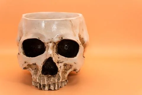 Concept - skull on a light orange background, beautiful white medical skull Stock Photos