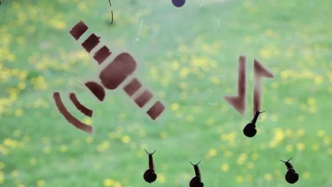 Concept of slow internet on example of garden snails. Stockbeeldmateriaal 199749841