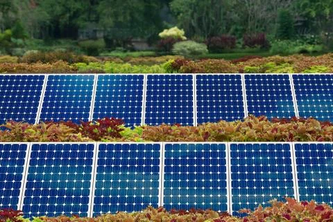 Concept of solar panel garden Stock Photos