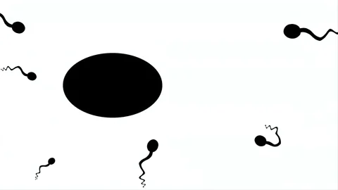 Concept Sperm motility problems. Stock-Footage 140498929