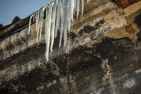 The concept of spring on earth. The warming after the winter. Stock Photos