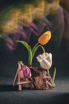 Concept spring. freakebana. three multi-colored tulips. motion blur Stock Photos