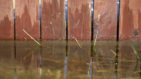 Concept of spring morning mood. Thin morning ice. First spiders already have Video stock 79107231