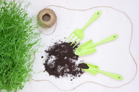 The concept of spring work in the garden. Seedlings and other plants. View from Stock Photos