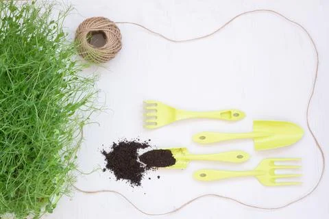 The concept of spring work in the garden. Seedlings and other plants. View from Stock Photos