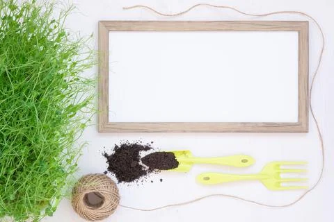 The concept of spring work in the garden. Seedlings and other plants. View from Stock Photos