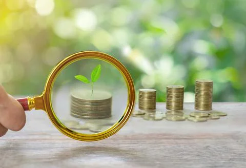 Concept of start growing tree on coin stack magnifi zoom. Stock Photos