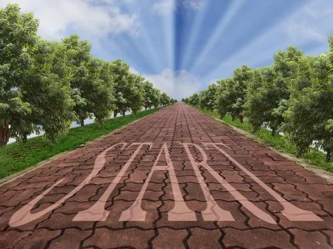 Concept of start straight and beginning, start point with a sign start agains Stock Photos