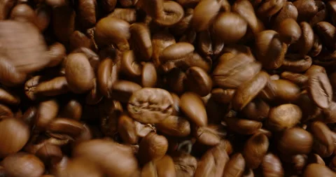Concept of storage and transportation, keeping fresh for coffee grains, tasty Stock Footage 240553896