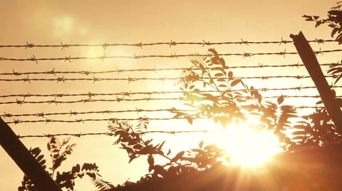 Concept of submission, slavery, servitude, oppression, tyranny, subjugation Stock Footage 56965543