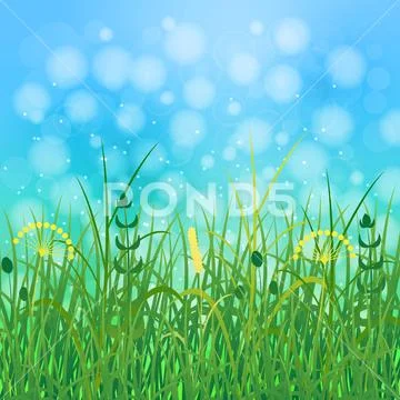 Concept Summer. Sky, blur, field grass Stock Illustration