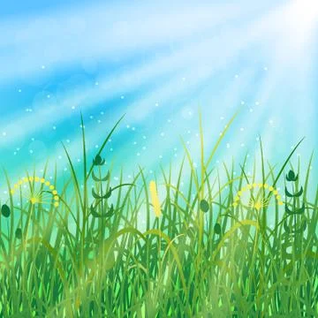 Concept Summer Solstice. Sky, blur, field grass, the lights of a sun Stock Illustration