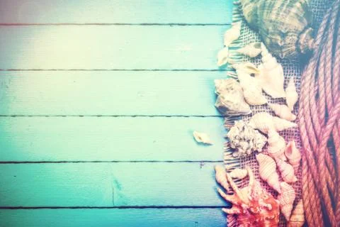 Concept of the summer time with sea shells on the wooden blue background Stock Photos
