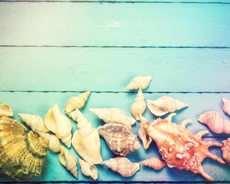Concept of the summer time with sea shells on the wooden blue background Foto stock
