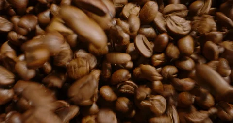 Concept of tasty aroma grinding grain for instant coffee, sort selec Stock Footage 238582004