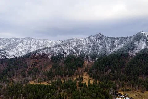 The concept of temperature difference in the mountains. Green Christmas trees 写真素材