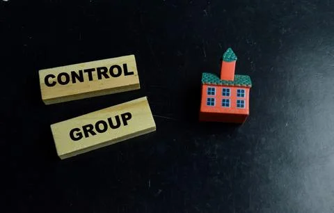 Concept of text control group on wooden blocks. For scientific research Stock Photos