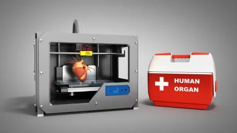 Concept of transplantation process of creating human hearts using 3D printer  Stock Illustration