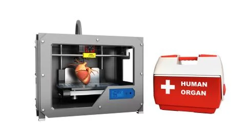 Concept of transplantation process of creating human hearts using 3D printer  库存插图