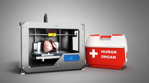 Concept of transplantation process of creating human organs using 3D printer  Stock Illustration