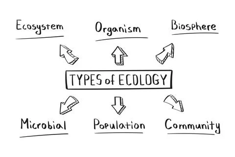 Concept of types of ecology mind map in handwritten style Stock Illustration