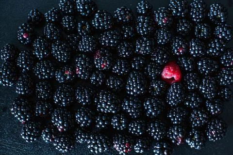 The concept of uniqueness. Not like the others. Red raspberry in a heap of bl Stock Photos