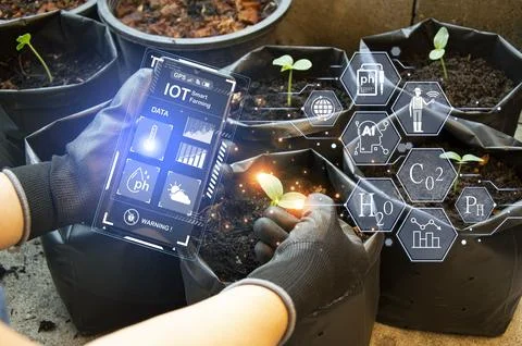 The concept of using AI and smart farming Stock Photos