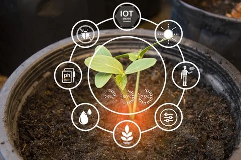 The concept of using AI and smart farming.. Stock Photos