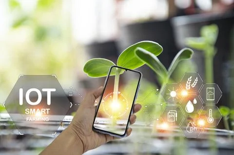 The concept of using AI and smart farming Stock Photos