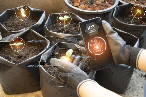The concept of using AI and smart farming.. Stock Photos