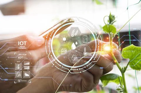 The concept of using AI and smart farming.. Stock Photos