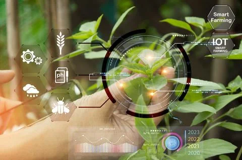 The concept of using AI and smart farming.. Stock Photos