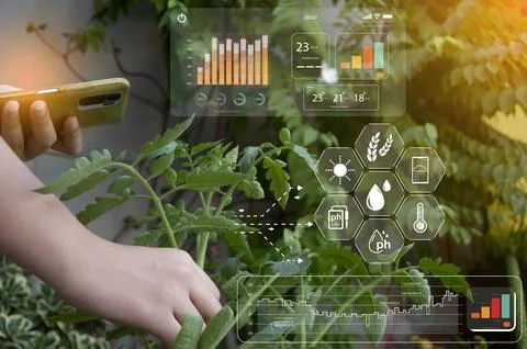 The concept of using AI and smart farming.. Stock Photos