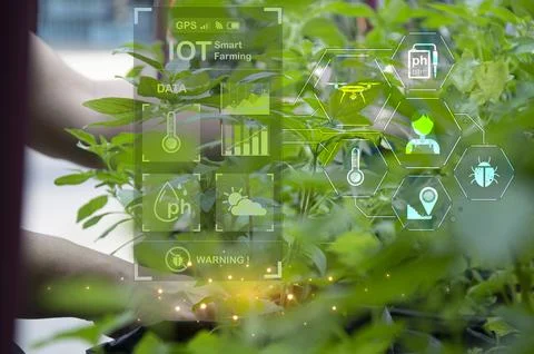 The concept of using AI and smart farming.. Stock Photos