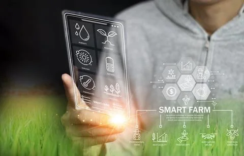 The concept of using AI and smart farming. Stock Photos