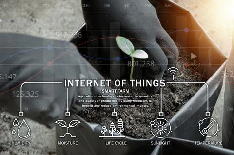The concept of using AI and smart farming.. Stock Photos