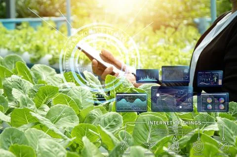 The concept of using AI and smart agriculture to increase productivity and .. Stock Photos
