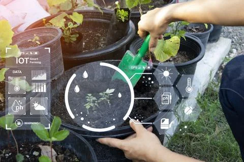The concept of using AI and smart farming.. Stock Photos