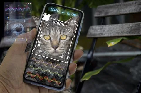 The concept of using artificial intelligence (AI) to find lost or lost pets. Foto stock