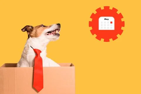 Concept of using Calendar application for business Stock Photos