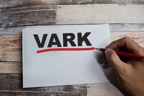 Concept of Vark learning for presentations and reports write on book 写真素材